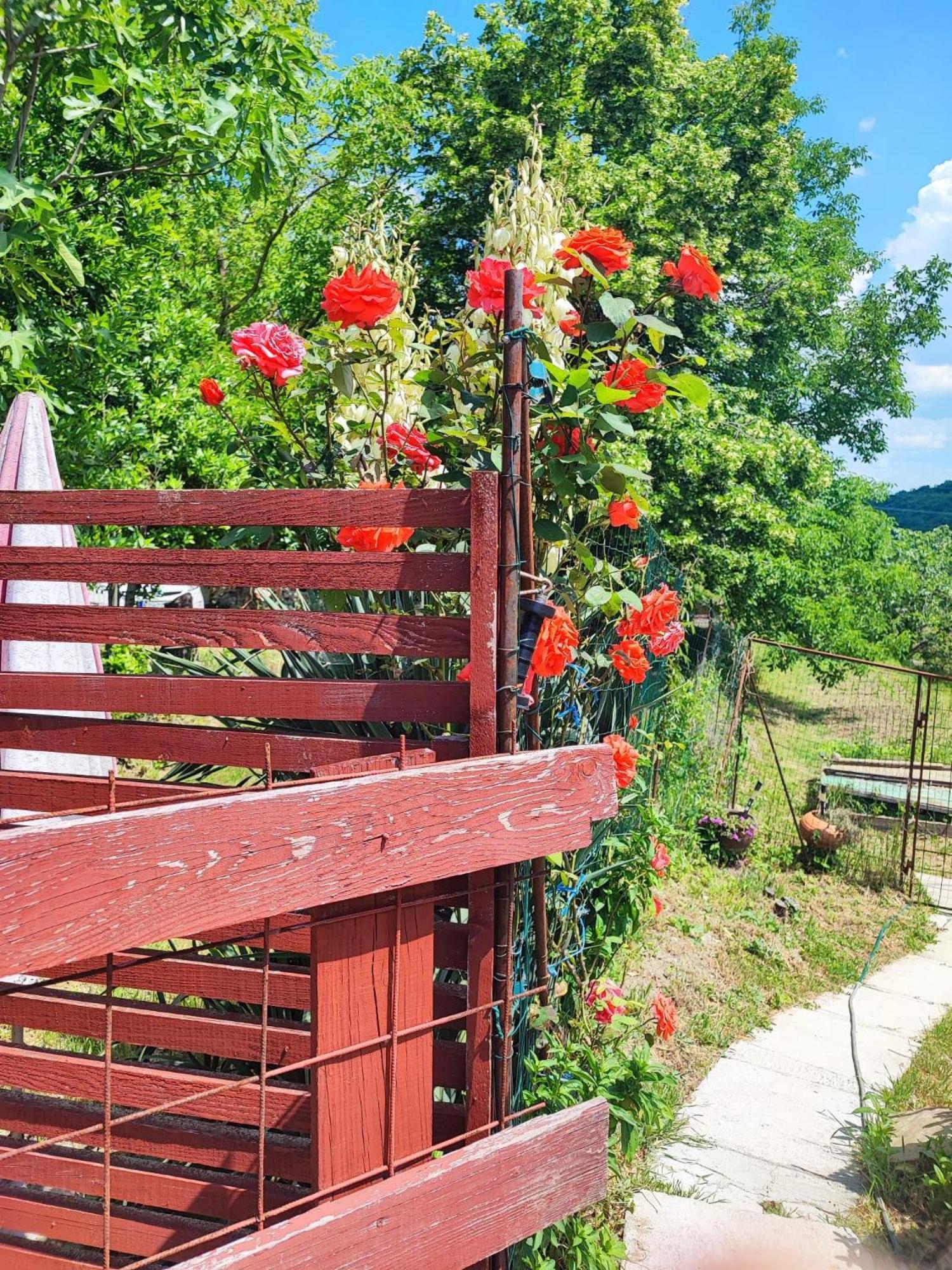 Apartment Cimbora, Salara Farmhouse Копер Экстерьер фото